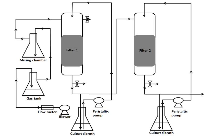 Illustration of experimental biofilter system.