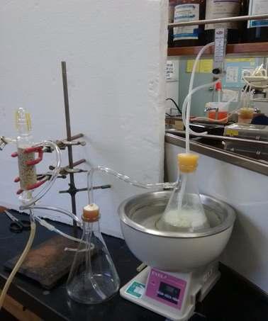 One step Z-biofilter system of laboratory scale.