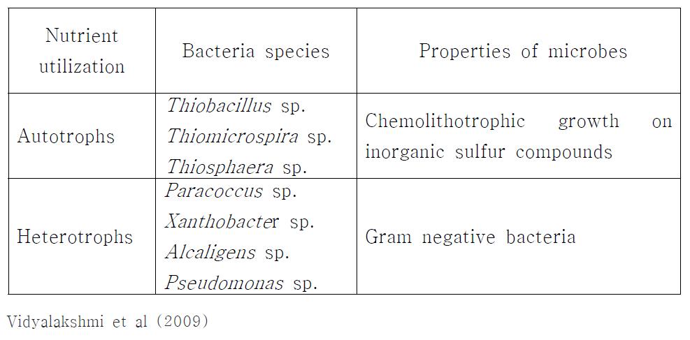 Sulfur oxidizing bacteria (SOB)