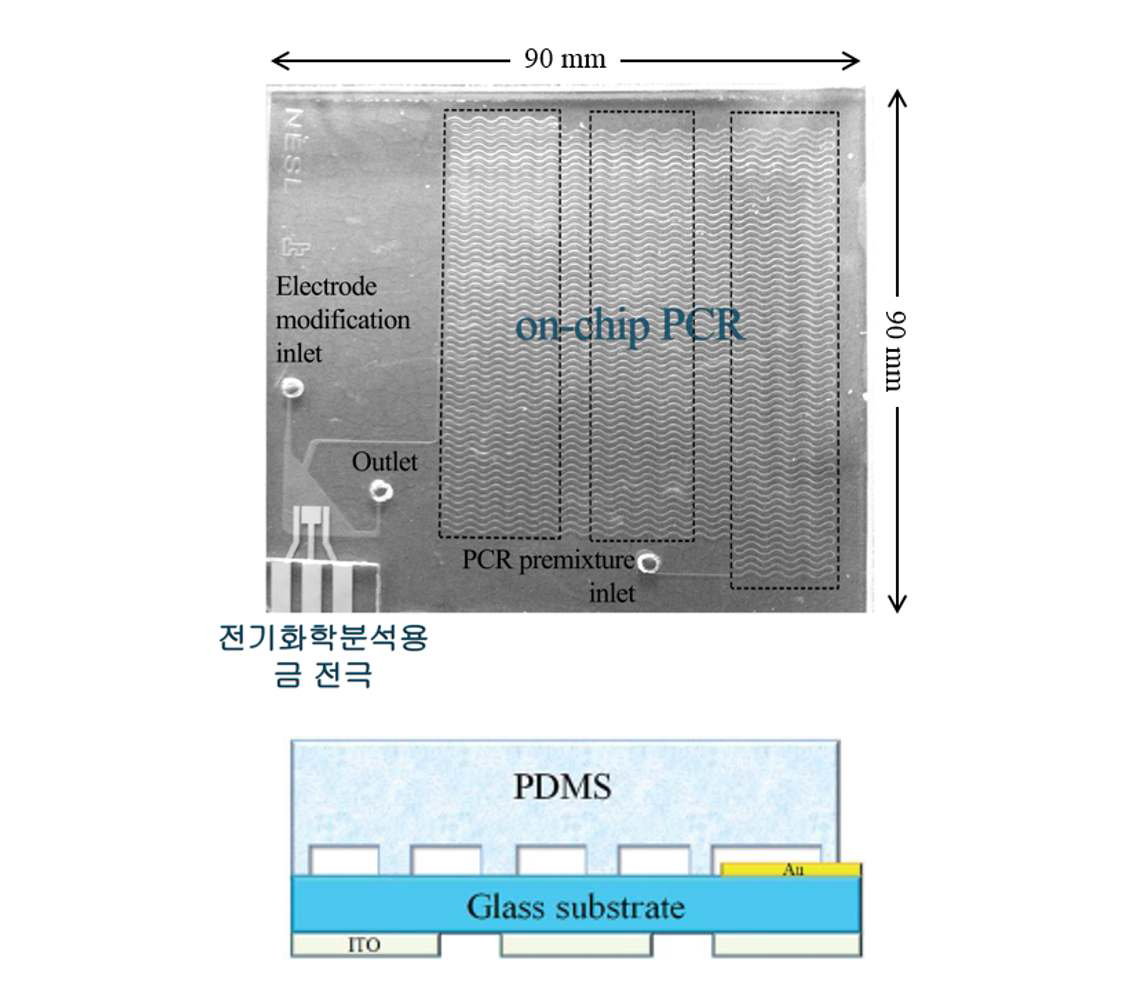 본 연구 개발을 통해 유전자 분석을 위하여 제작된 중합효소연쇄반응과 전기화학 분석 시스템이 통합된 마이크로 칩의 실제 이미지(상), 단면 모식도(하).