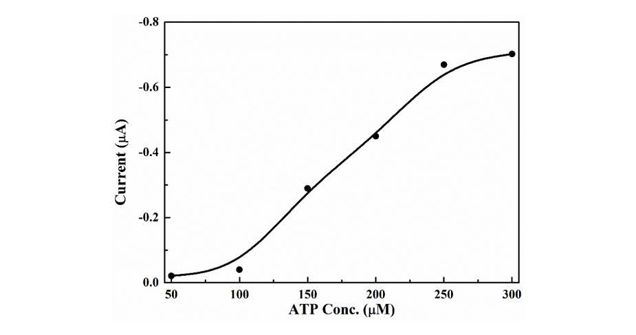 ATP 농도 최적화를 위한 ATP 농도 별 DPV 전류 그래프. 반응 조건 : 1X PKA 버퍼, 40 μM 켐타이드, 50 U/mL PKA.