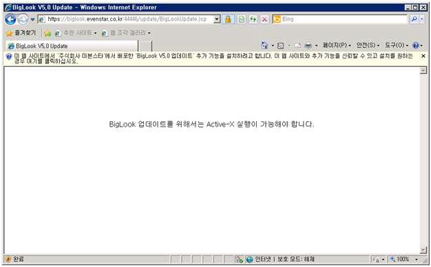 BigLook ActiveX 실행