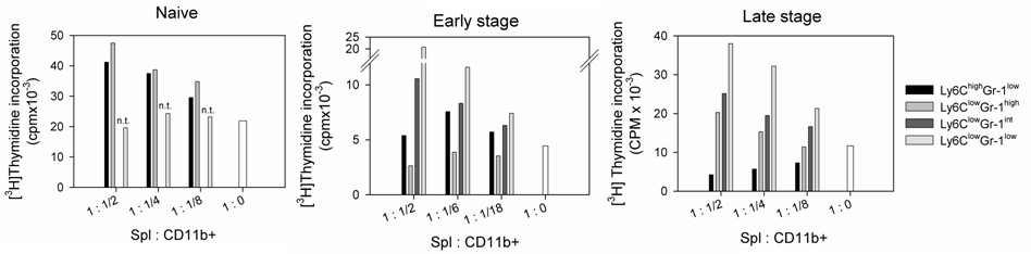 미분화 골수성 세포 각 subset에서의 면역 억제 기능 분석 DO11.10 마우스의 비장 세포를 100μg/ml의 OVA 단백질과 함께 배양하면서, 표시된 비율로 naive 및 초기 암과 말기 암을 가진 마우스 비장세포로부터 분리한 CD11b+ 세포를 넣어주었음. 2일 후에 1uCi/well의 [3H]thymidine을 추가한 다음, 24시간 후에 세포를 수확하여 세포의 [3H]thymidine incorporation 정도를 측정하였음.