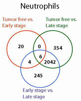 Volcano plot 분석 방법에 의해 선별된 DEG의 venn diagram Tumor free 마우스의 비장세포에서 분리한 PMN-CD11b+ 세포 (붉은 색)와 초기 암을 가진 마우스로부터의 PMN-CD11b+ 세포 (파란 색), 그리고 말기 암을 가진 마우스에서 얻은 PMN-CD11b+ 세포 (녹색)에서 분석된 DEG의 분포. 괄호 안의 숫자는 control pobe를 제외한 유전자 개수를 표현함.