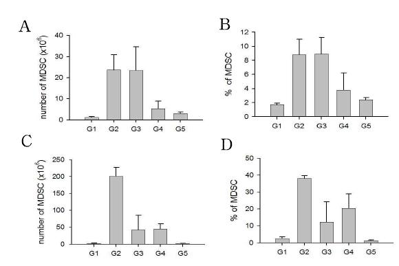 Rapamycin 투여로 미분화 골수성 세포 제거 유도 BALB/c 마우스에서 CT26 암세포 투여 후 4주 (A, B) 또는 6주 (C, D) 후에 gemcitabine과 rapamycin을 투여하고 48시간 후 비장 세포를 분리하여 CD11b+Gr-1+ 미분화 골수성 세포의 비율과 개수를 분석함. G1: naive 마우스, G2: CT26 tumorbearing mice (TB), G3: rapamycin 처리한 CT26 TB, G4: gemcitabine 처리한 CT26 TB, G5: rapamycin과 gemcitabine을 둘다 처리한 CT26 TB