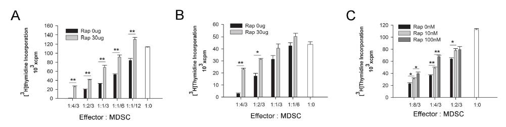 Rapamycin을 이용한 MDSC 의 면역 억제 기능 조절 말기 암 상태의 마우스에 rapamycin을 30ug을 i.p로 투여하고 이틀 후 미부화 골수성 세포를 분리하여 OT-1 CD8 T 세포 (A) 및 DO11.10 CD4 T세포 (B) 증식을 억제하는 정도를 측정함. 또한 말기 암상태의 마우스에서 분리한 미분화 골수성 세포를 0nM, 10nM 또는 100nM의 rapamycin으로 2시간 미리 처리해 준 후 OT-1 CD8 T 세포의 증식을 억제하는 정도를 측정함 (C).