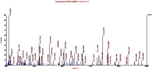 MALDI-TOF 분석을 통한 V3 단백질 동정 Lipofectamine으로 transfection 시키고 2일째 얻은 supernatant에서 얻은 V3 size band를 mass analysis로 확인한 결과.