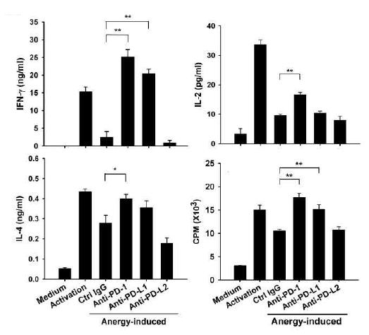 PD-1/PD-L1 상호작용 저해로 인한 iNKT 세포의 반응성 회복 - 7일 anergy 마우스에 2 ㎍의 aGalCer를 투여한 후 7일 뒤에 비장세포를 얻었고 이를 in vitro상에서 aGalCer로 다시 자극을 주었음. 이때, 각 그룹별로 저해항체 혹은 대조군 항체를 각각 처리하였음. 이러한 상태로 3일동안 배양한 뒤에 배양액을 취하여 배양액 내에서의 IFN-γ, IL-4, IL-2 농도를 ELISA 시험법을 통해 측정하였음. 또한 위와 같은 처리 후 2일동안 배양한 뒤 thymidine 을 넣어주고 하루 후에 세포를 취해서 세포 분열 시험법(Proliferation assay)를 이용하여 세포 분열 정도를 확인하였음.