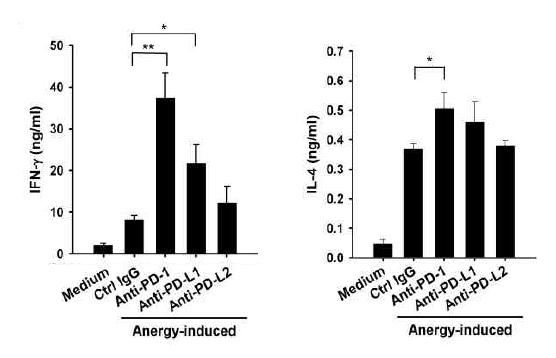PD-1/PD-L1 상호작용 저해로 인한 iNKT 세포의 반응성 회복 - 30일 anergy 마우스에 2 ㎍의 aGalCer를 투여한 후 한 달 뒤에 비장세포를 얻어서 그림2와 동일한 처리를 한 후 3일 동안 배양하고 각 그룹별로 배양액을 취하여 배양액 내에서의 IFN-γ, IL-4의 농도를 ELISA시험법을 통해 측정하였음.