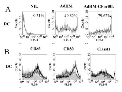 CFm40L 재조합 단백질을 이용한 수지상 세포의 항원 발현 정도 및 활성화 증가 수지상 세포에 AdHM 및 AdHM-CFm40L로 항원 전달 후 PE 형광 표지된 항-Her-2/neu 항체로 염색 한 후 유세포 분석기로 항원 발현 정도를 분석함