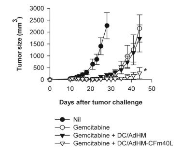 미분화 골수성 세포를 제거하고 CFm40L 재조 합 단백질을 이용한 수지상 세포 백신 투여에 의한 항암 치료 효과 Murine Her-2/neu를 발현하는 암세포를 투여한 후 11, 13일 째에 gemcitabine을 투여하여 미분화 골수성 세포를 제거해주었음. 14일 째에 수지상세포 백신으로 면역화하여주고 암세포의 성장을 관찰함.