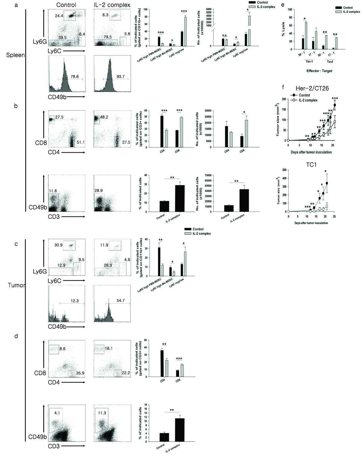 in vivo IL-2 처리가 암 환경 및 암 성장에 미치는 영향 확인