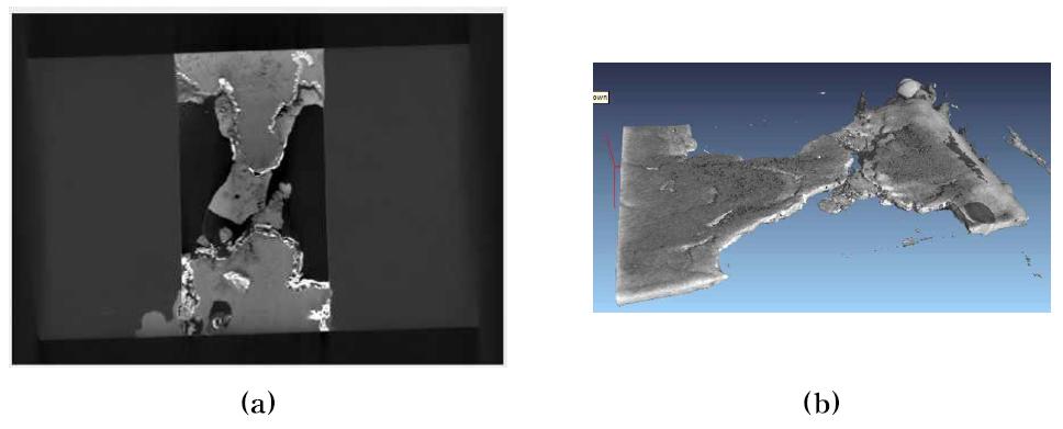 The result image by using X-ray CT (a) Cross section and (b) 3D image of specimen No. 2