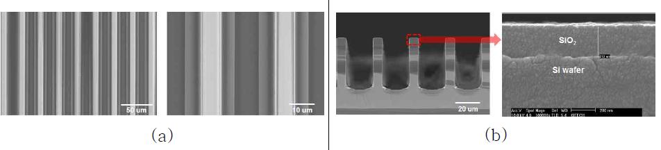 SiO2 층 코팅된 직각 trench 센서플랫폼의 평면 이미지: (a), 단면 이미지: (b)