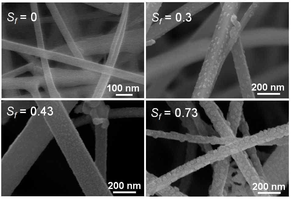 공정 조건에 따른 다양한 표면적 비 (Sf)를 가지는 나노선의 SEM 이미지.