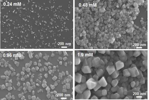 Cu 금속염 용액의 농도에 따른 나노입자 형성 거동
