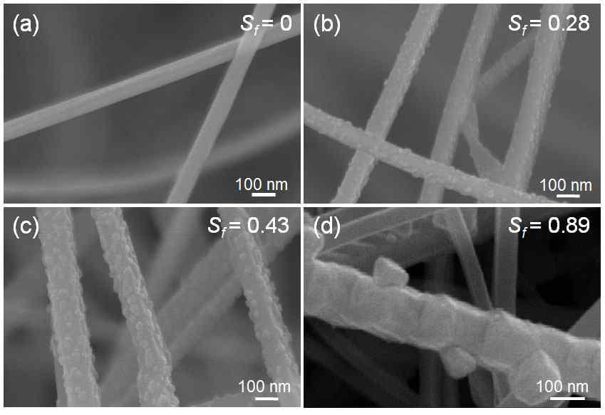 공정 조건에 따른 다양한 표면적 비 (Sf)를 가지는 나노선의 SEM 이미지.