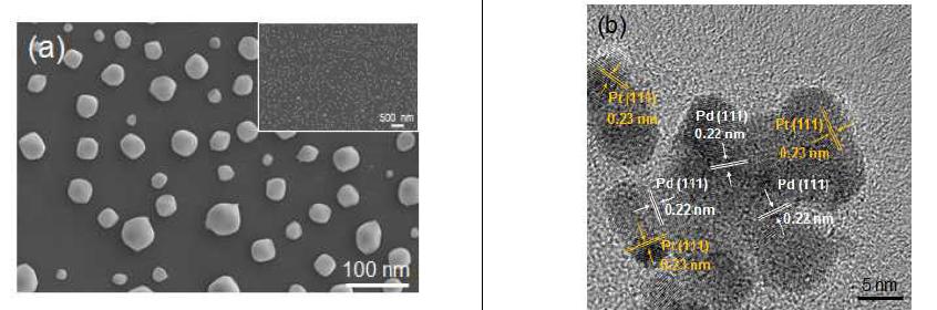 Pd-Pt 복합금속입자의 SEM과 TEM 이미지