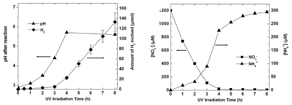 시간에 따른 (좌) 수소 생산 및 pH 변화 (우) NO -3 환원 및 NH +4 생성량