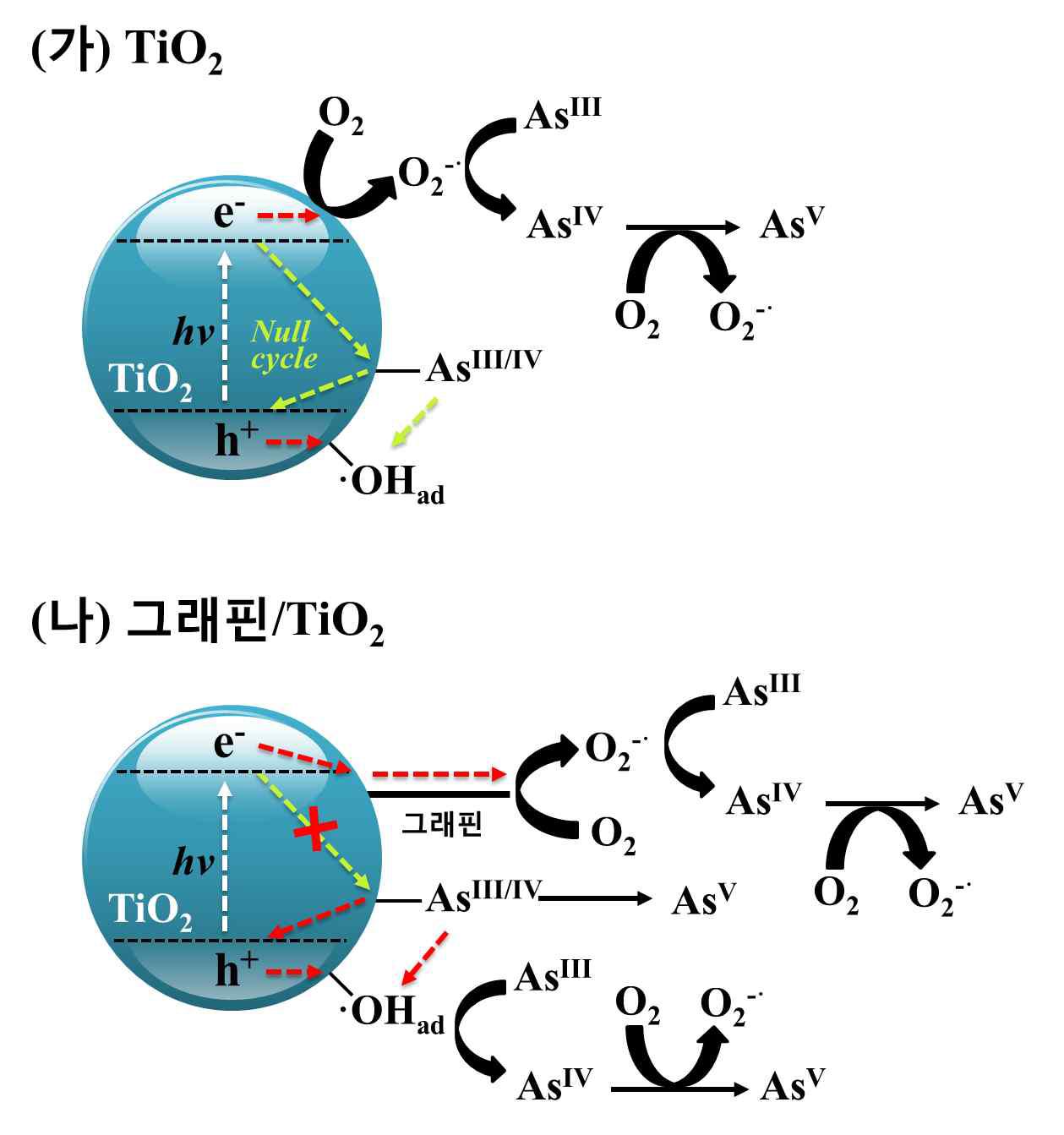 TiO2와 그래핀/TiO2를 이용한 비소 산화 반응경로 모식도