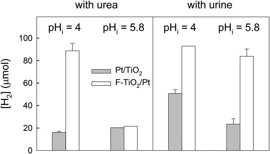 Urea와 Urine을 통한 수소 생성