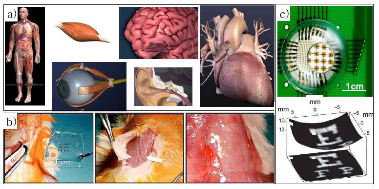 a) 의료용 보조 장치를 이식 시킬 수 있는 인체 장기들, b) 동물 장기에 부착시킨 실리콘 전기전자소자, c) 반구형 전자눈 카메라(우).