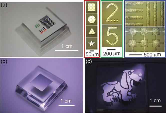 PDMS 위로 전사인쇄한 다양한 크기와 모양의 SU-8 초박막 기판