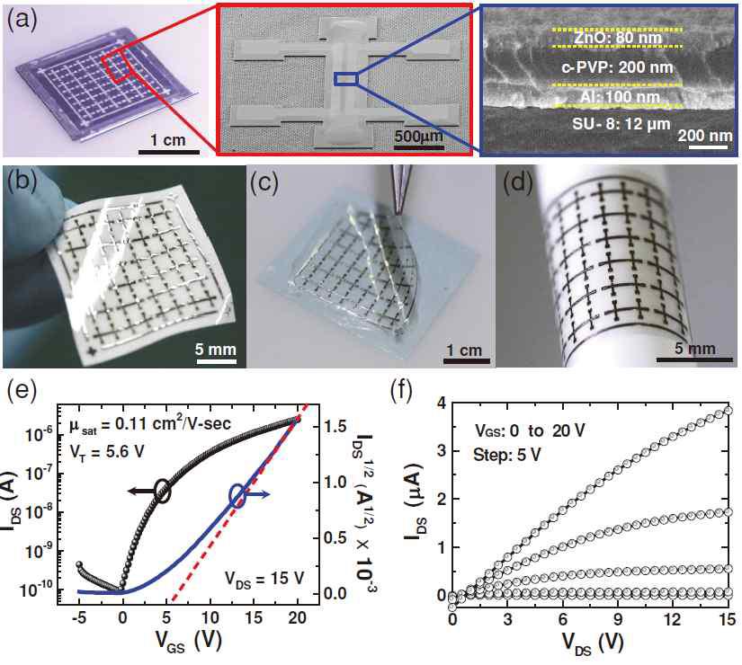 a)전사인쇄 전 보조기판 위 제작한 ZnO 박막 트랜지스터 소자의 사진과 주사전자현미경을 이용한 표면사진 및 단면 사진. b-d) 제작한 소자를 종이와 테이프 전사한 사진과 테이프를 볼펜 부착한 사진. e-f) 종이 위 ZnO 박막 트랜지스터의 전기적 특성 그래프