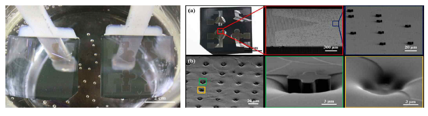 희생층 제거 후 패턴 부유 현상 및 SEM 이미지