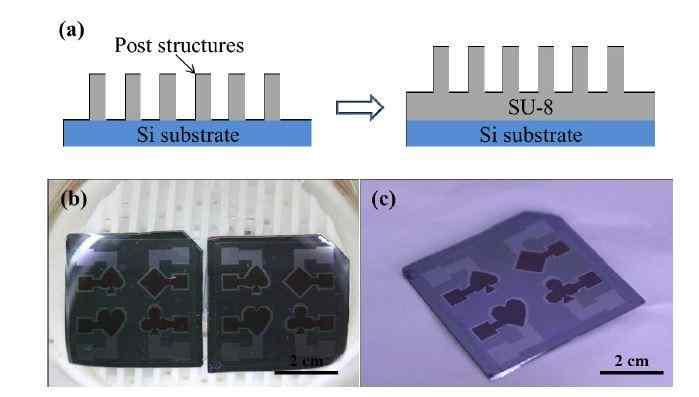 SU-8을 1차 도포 하는 공정의 모식도 및 희생층 식각 후 SU-8 패턴