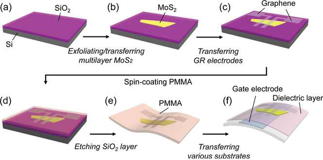 그래핀 전극과 MoS2 채널을 이용한 트랜지스터의 제작과정