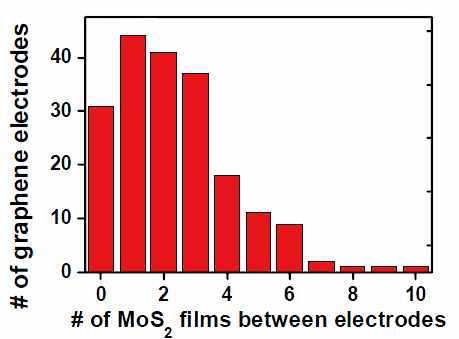 그래핀 전극 사이에 위치한 MoS2 의 개수