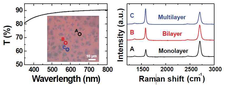성장한 다층 그래핀 전극의 투명도와 라만 그래프