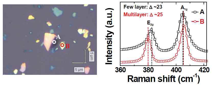 MoS2 층들의 광학 현미경 사진과 라만 그래프