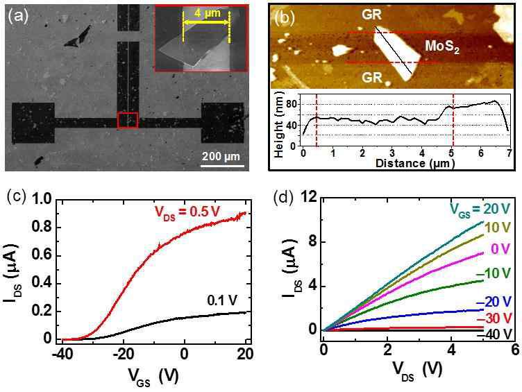 실리콘 기판 위 MoS2/그래핀 소자의 (a)SEM, (b)AFM 사진. (c-d) 전기적 특성.