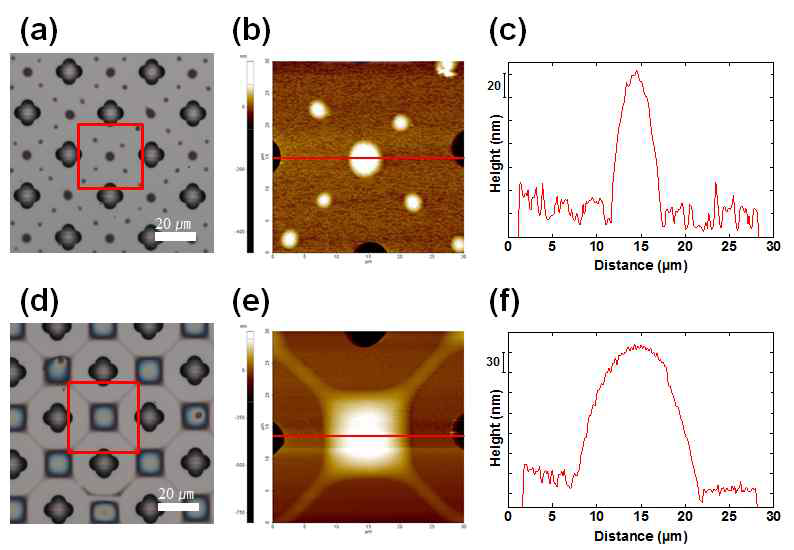 0.5 wt.%(a ~ c)와 2 wt.%(d ~ f)의 형성된 고분자 패턴의 OM(a, d), AFM 이미지(b, e), 높이 그래프(c, f).