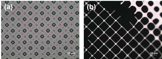 (a) SOI 웨이퍼 위 2 wt.% PAA 패턴. (b) PDMS 스탬프로 전사된 실리콘 박막 멤브레인.