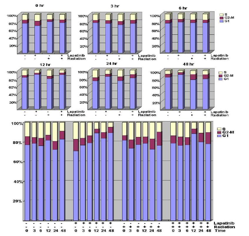 Effect of Lapatinib in cell cycle