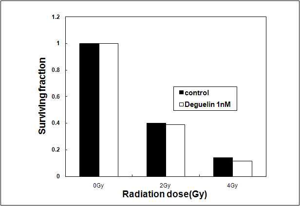 VEGFR 표적 후보물질인 Deguelin의 radiosensitizing effect.