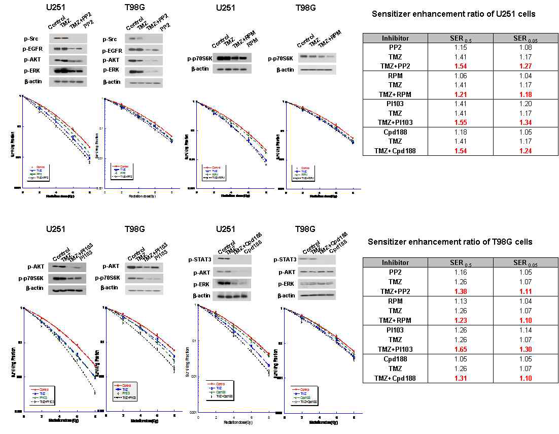 Targeting downstream signaling: Src, PI3K/mTOR, and STAT