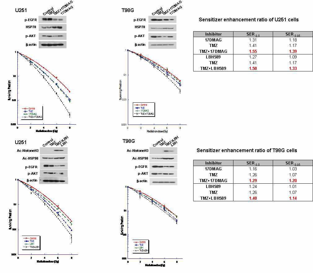 Ligand-independent modulation using HSP90 inhibitor and Epigenetic modulation using HDAC inhibitor