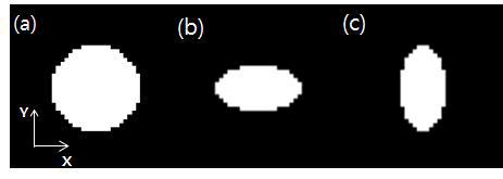 소프트웨어 모형의 x-y 단면; (a) 원통형 모형 (circular cylinder phantom, 지름 2.1 cm), (b) 타원통형 모형 (elliptic cylinder phantom, 장축 (x축) 2.1cm, 단축 (y축) 1.1cm), (c) 타원통형 모형 (단축 (x축) 1.1 cm, 장축 (y축) 2.1 cm)