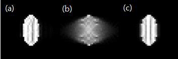 타원통형 모형 (장축 : y축)의 30번 반 복연산 후 재구성된 영 상; (a) 1번 x-y 단면, (b) 15번 단면, (c) 30 번 단면