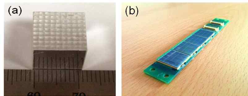 본 연구에서 사용한 (a) 섬광결정 블록 및 (b) 검출기 보드