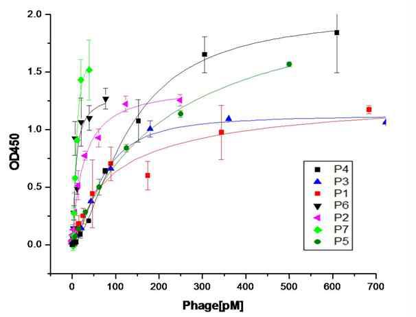 Determination of binding affinities of CD44ED-bindingpeptides.