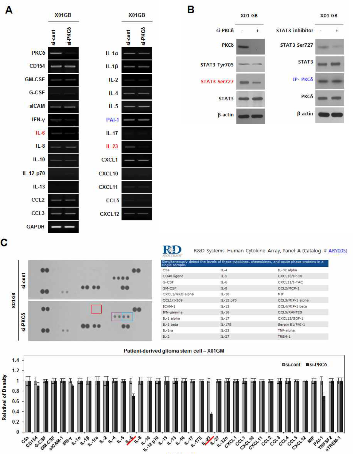 분할방사선에 의한 염증반응과 RT-PCR 및 cytokine array를 이용한 염증반응인자 스크리닝