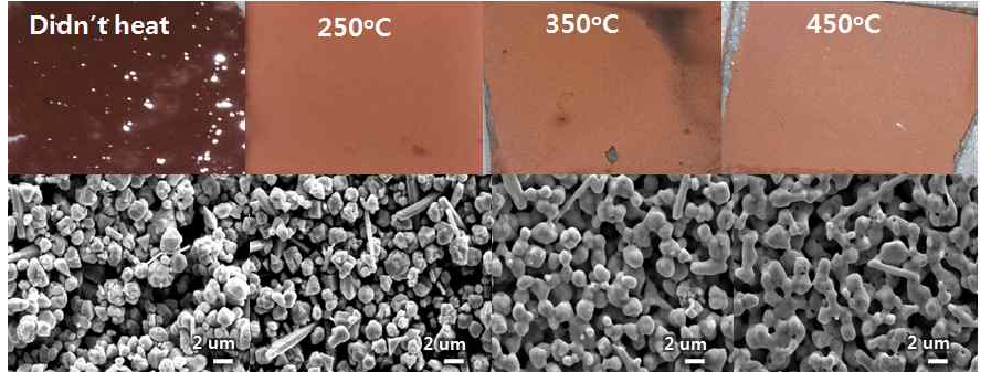 소성온도에 따른 색상 변화와 SEM 이미지