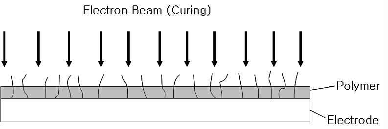 전자빔조사에 의한 고분자 경화