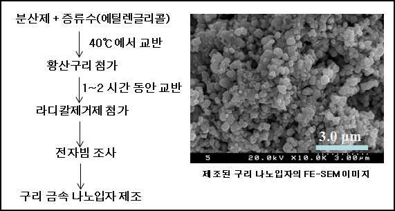 구리 나노입자 제조 공정 모식도 및 제조된 구리 나노입자의 SEM이미지