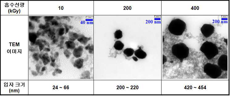 흡수선량에 따른 구리 나노입자 TEM 이미지 및 입자 크기